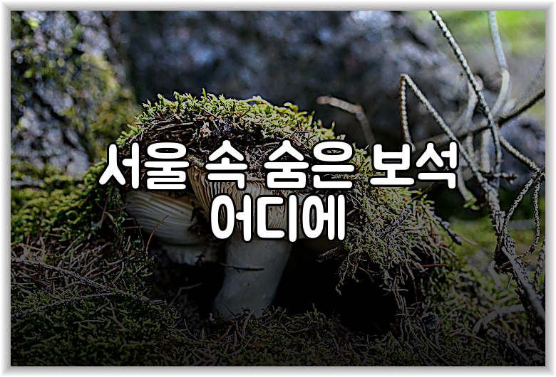 서울 속 숨은 보석 어디에
