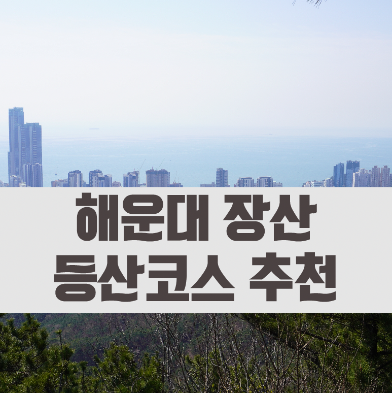  해운대 장산 등산 코스 추천(대천공원 주차장 - 옥녀봉) 정상까지 안감 주의