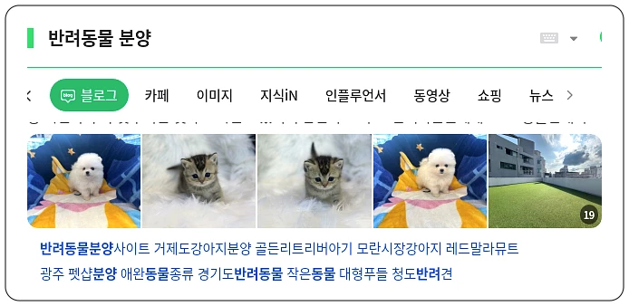 반려동물 분양_1_subsection