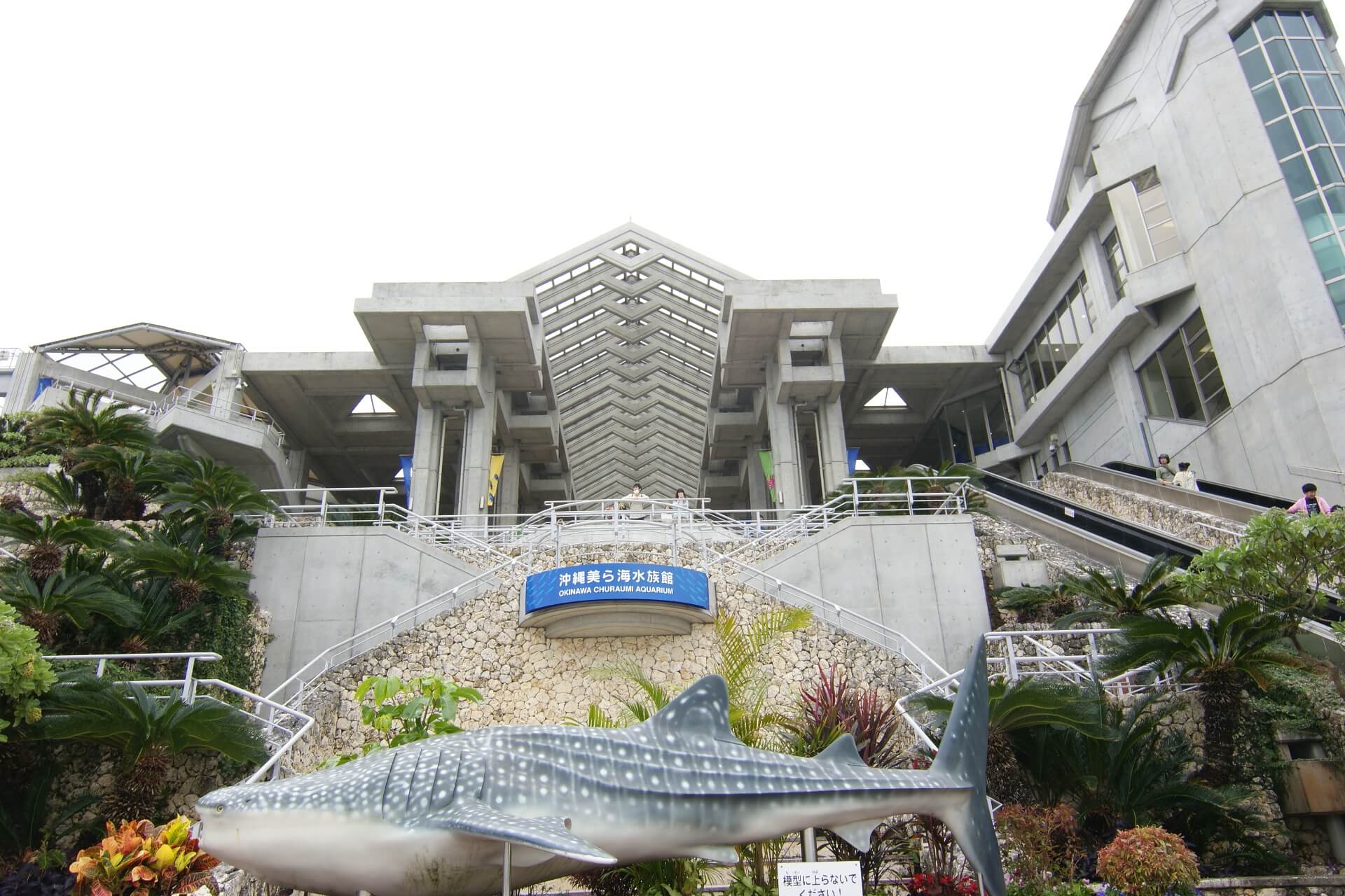 추라우미 수족관