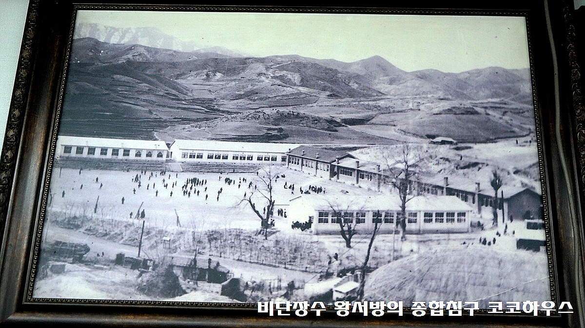 고성 대진항 수산시장 먹거리 맛집! 13