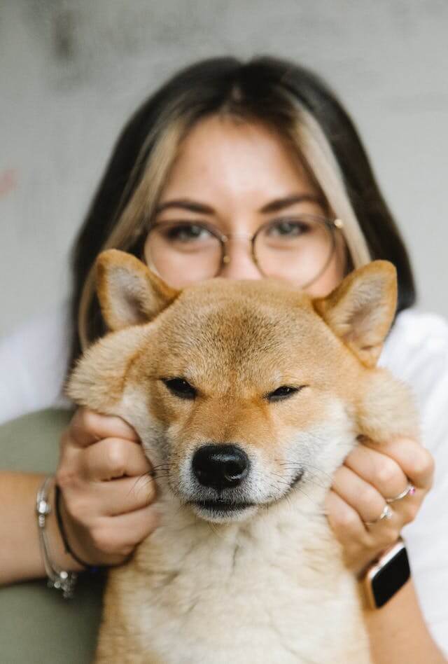 강아지 패딩 고르는 방법