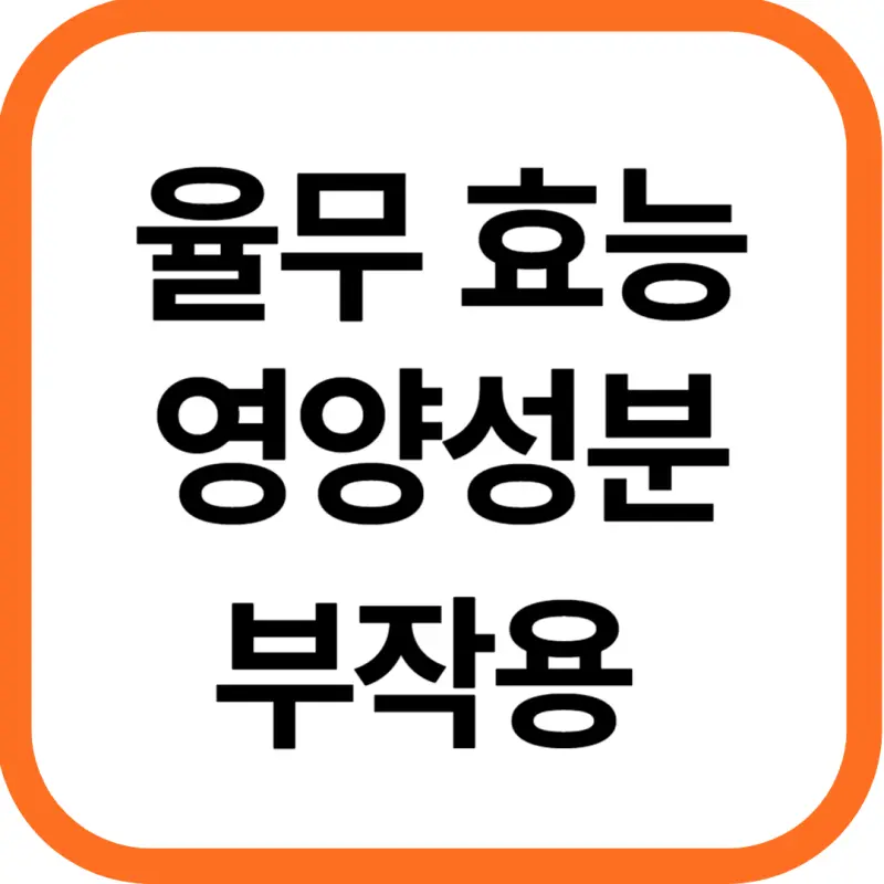 율무 효능 및 영양성분&#44; 부작용