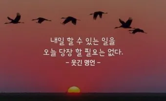 웃긴 명언 모음 웃긴 술명언 100선_8