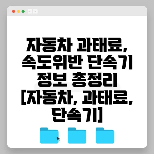 자동차 과태료, 속도위반 단속기 정보 총정리 [자동차, 과태료, 단속기]