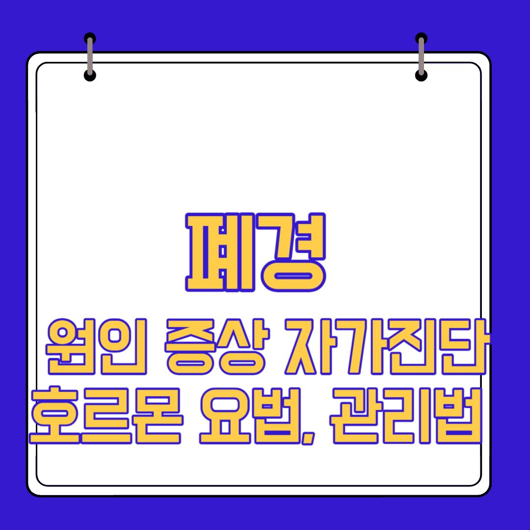  폐경 원인 증상 자가진단 호르몬 요법, 관리법