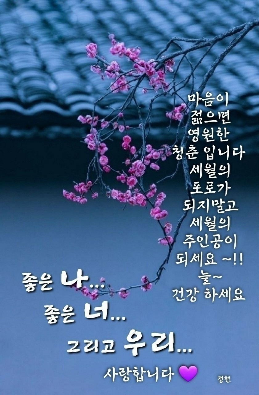 봄꽃 목련과 벚꽃이 한창입니다 / 꽃길만 걸으면 (03/23/22) 53