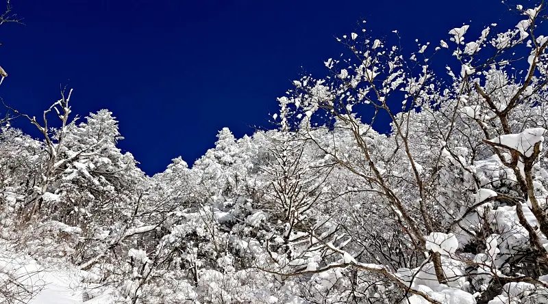 지리산 설경 상고대