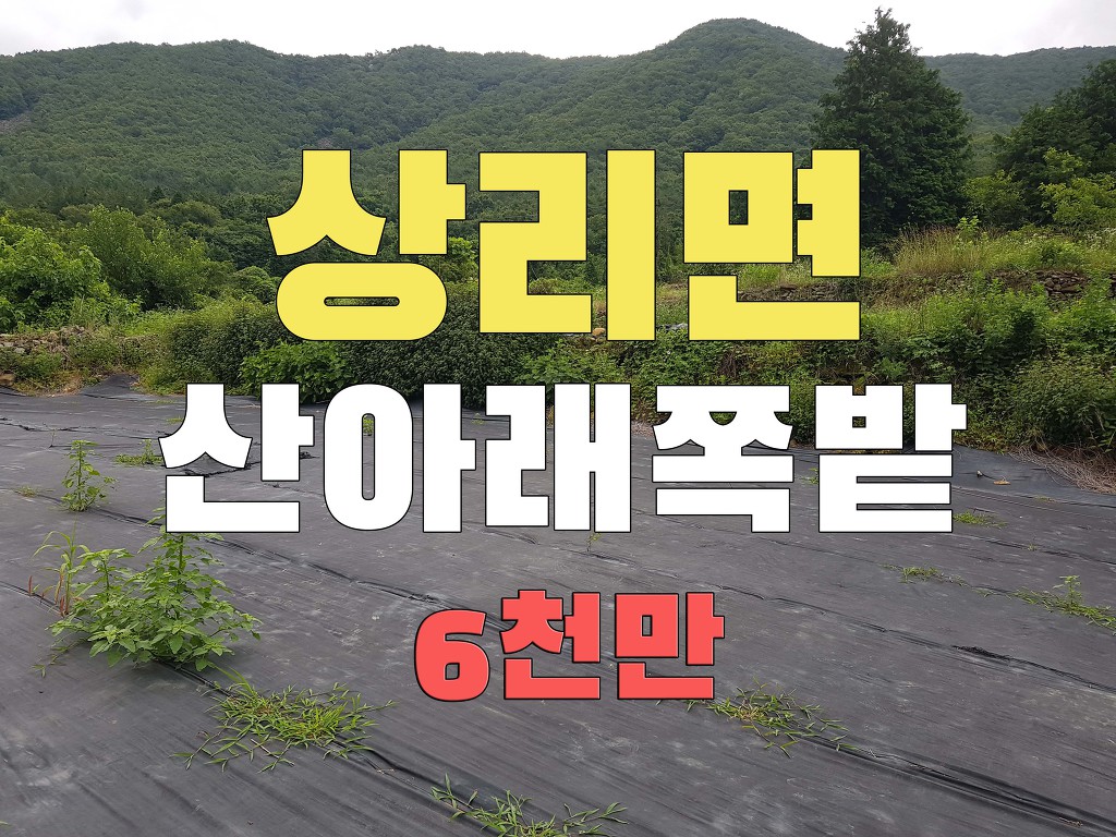  경남고성부동산 상리면 산아래쪽에 붙은 전! 마을과 200미터 거리 조용한 곳