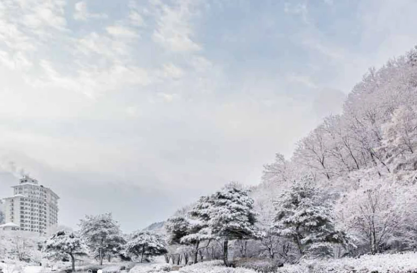 스키장별 어린이 스키강습 프로그램 총정리(비발디파크&amp;#44; 용평&amp;#44; 엘리시안 강촌&amp;#44; 휘닉스 평창&amp;#44; 오크밸리&amp;#44; 하이원)