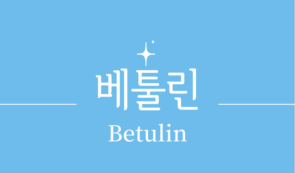 &#39;베툴린(Betulin)&#39;