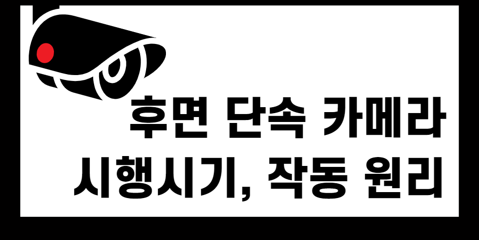  후면 단속 카메라 도입 시행시기 작동원리