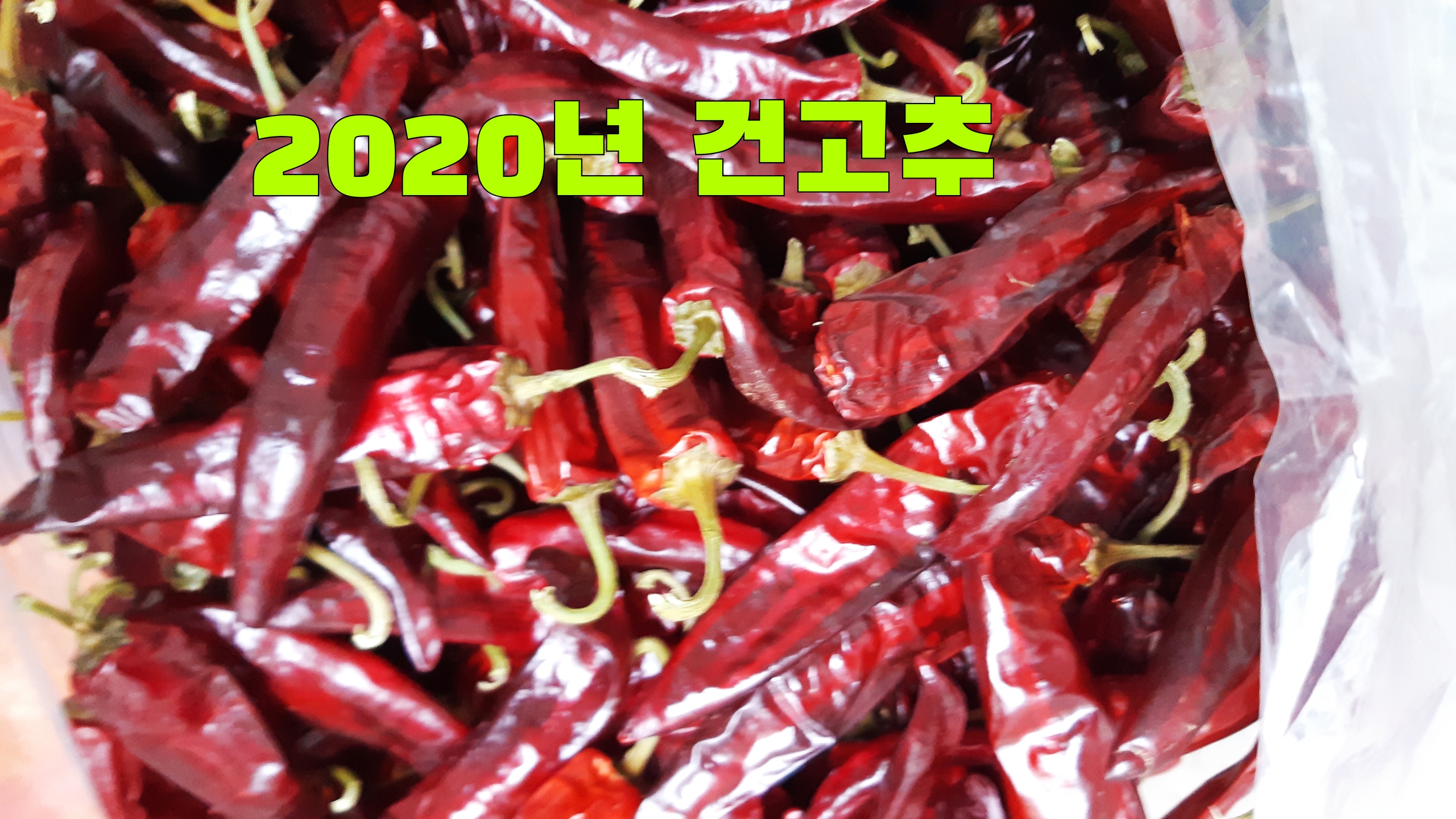  장마철에 고추 말리기 정말 힘드네요