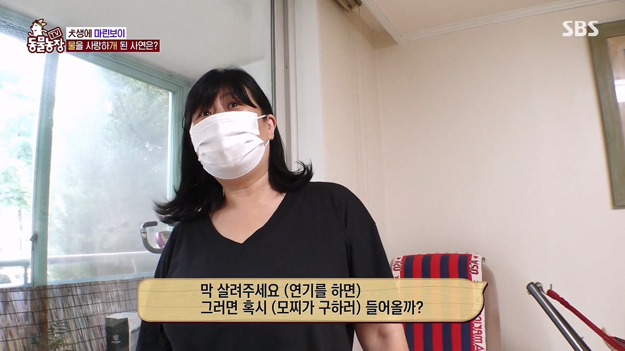 TV 동물농장.E1137.230911p-NEXT.mp4_20230910_175215.776.jpg
