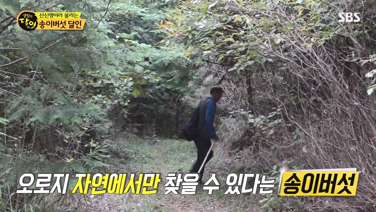 생활의 달인.E907.231010p-NEXT.mp4_20231010_202605.389.jpg