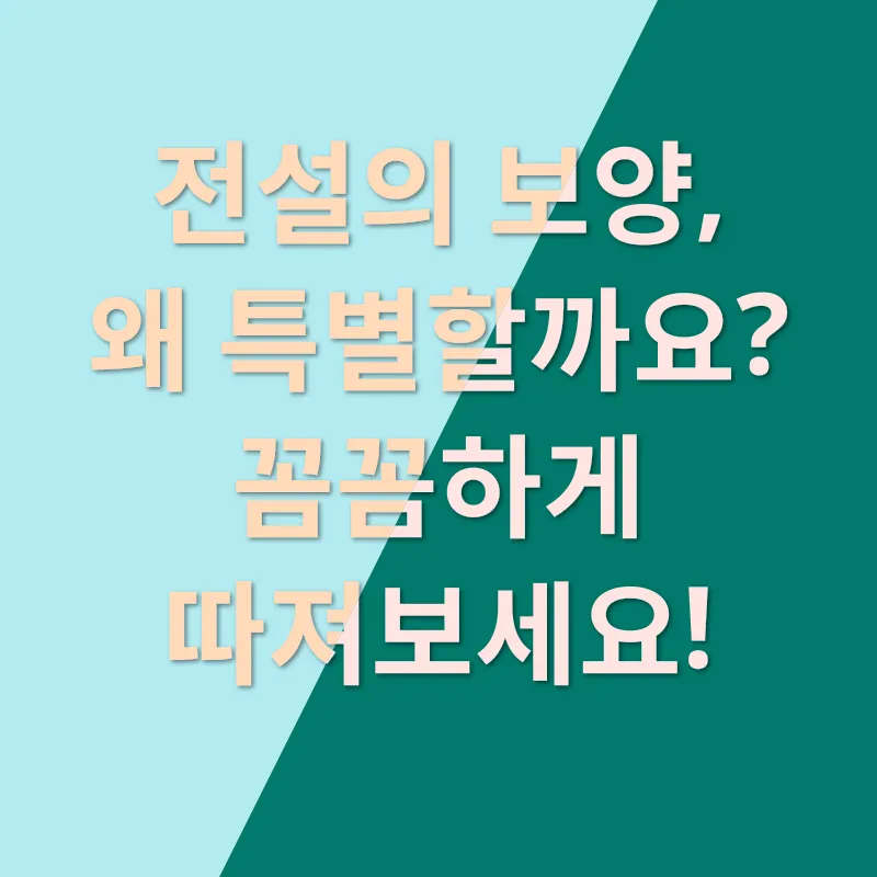 반려동물 건강_2