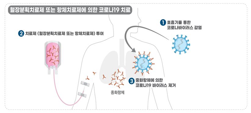  셀트리온 임상 발표