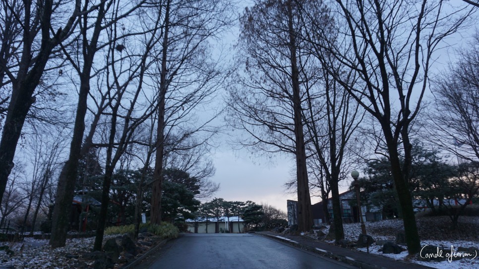 전주 겨울여행 전주겨울여행/한국도로공사 35