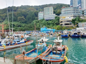 항구 이미지