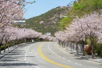 부산근교 드라이브 여행 가볼만한 경치 좋은 장소_17