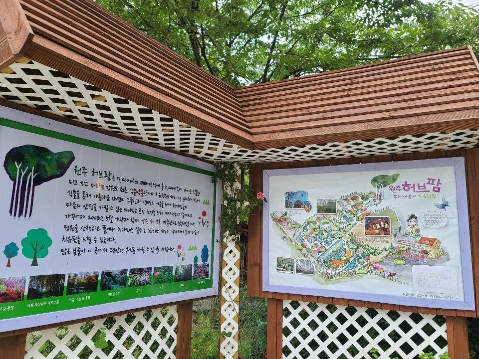  강원도 원주 가볼만한곳 원주여행 원주 허브팜 원주식물원