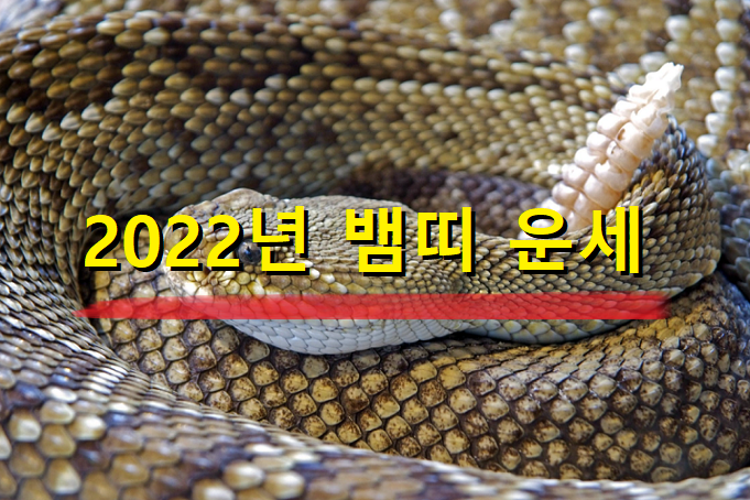  2022년 뱀띠 운세 22세, 34세, 46세, 58세, 70세 나이별 뱀띠 운세
