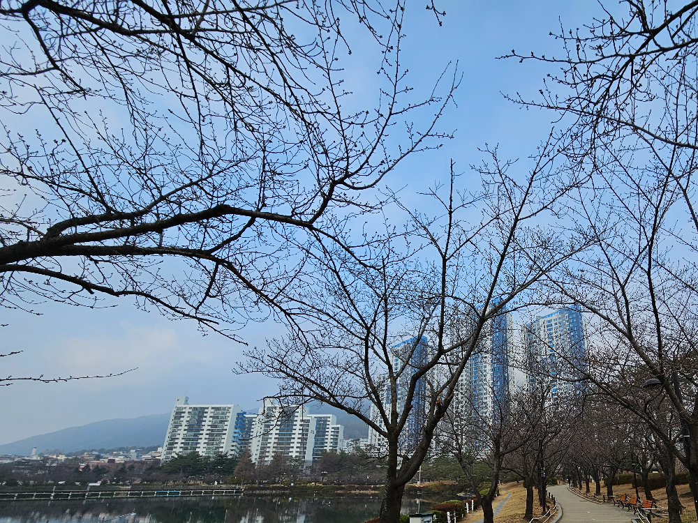 연지공원 산책길