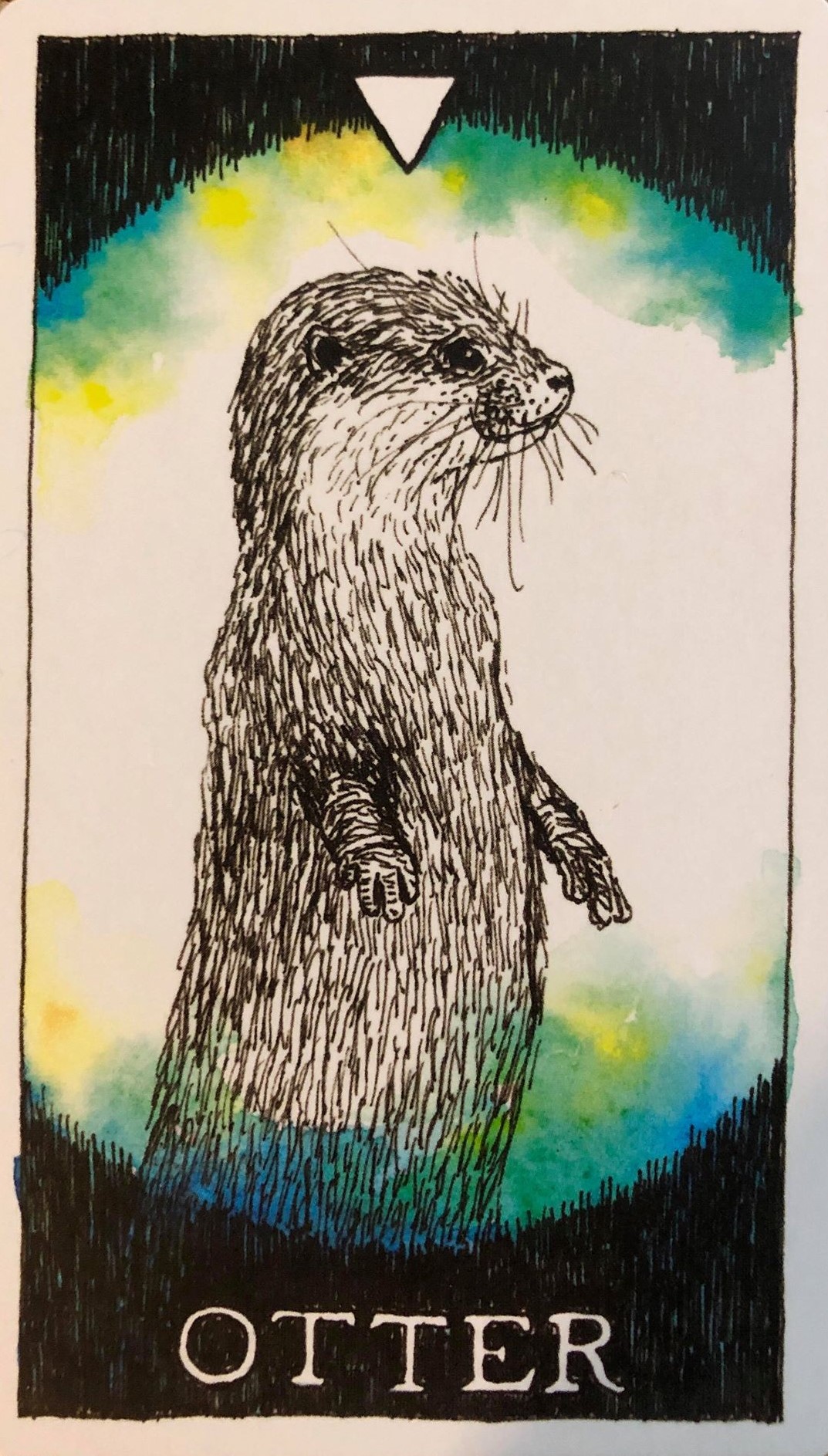  [오라클카드배우기/와일드언노운애니멀스피릿]The Wild Unknown Animal Spirit Otter 수달 해석 및 의미