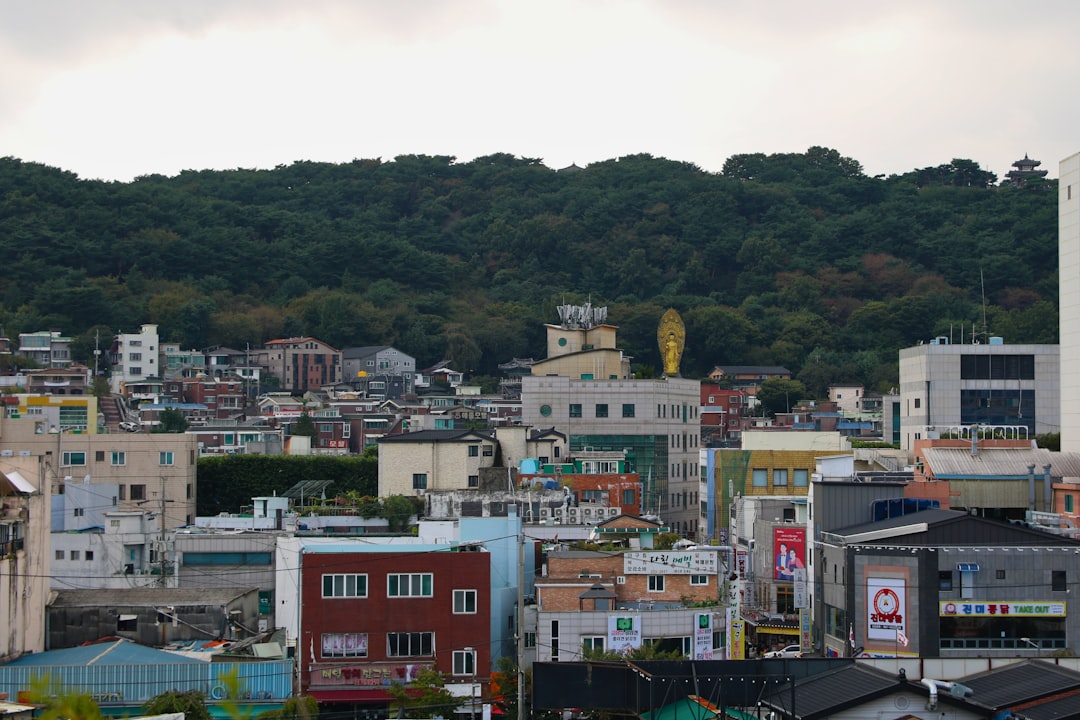 Suwon Bellflower