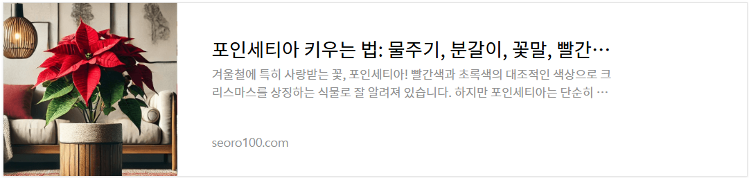 포인세티아 키우는 법