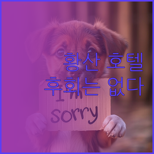 황산 여행, 후회없는 호텔 선택 가이