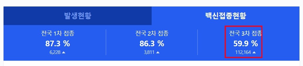 코로나 확진자 현황