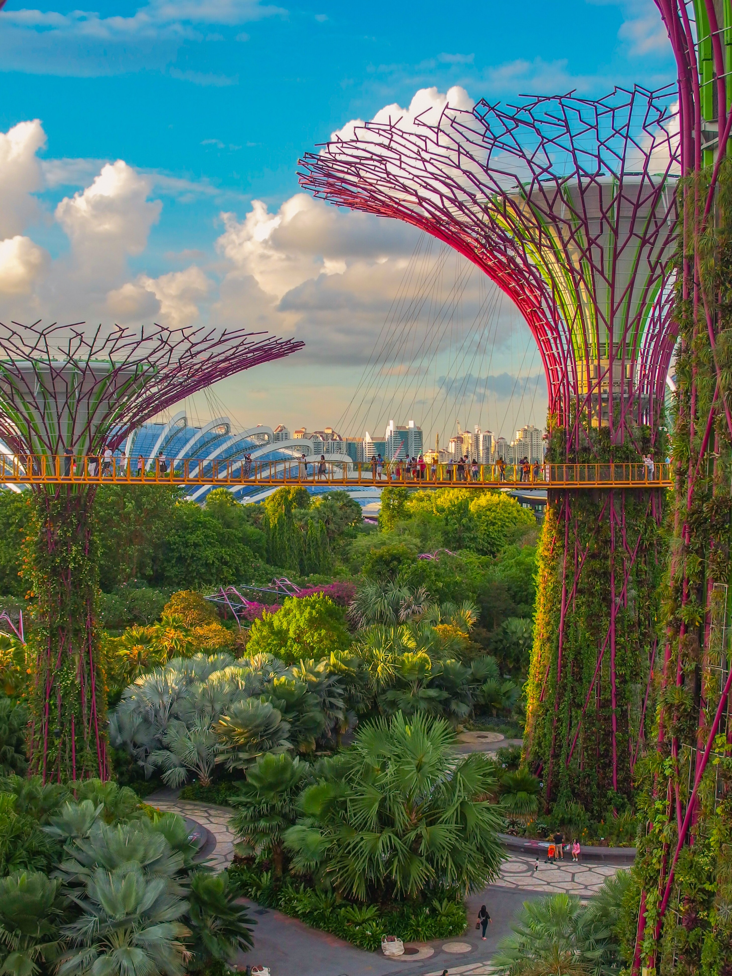 싱가포르의 가든스 바이 더 베이의 우뚝 솟은 나무들의 모습