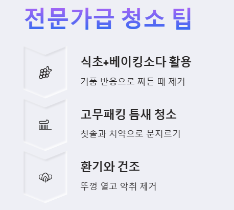 전문가급 청소 팁 예시