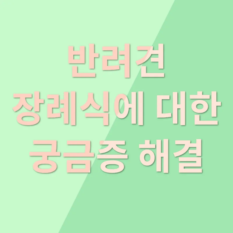 반려견 장례식_4