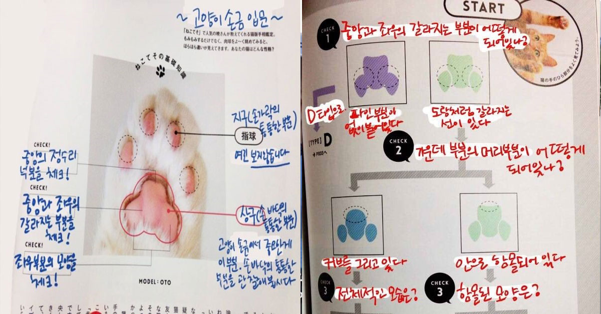  재미로 보는 ‘냥이’ 손금보는 방법!!