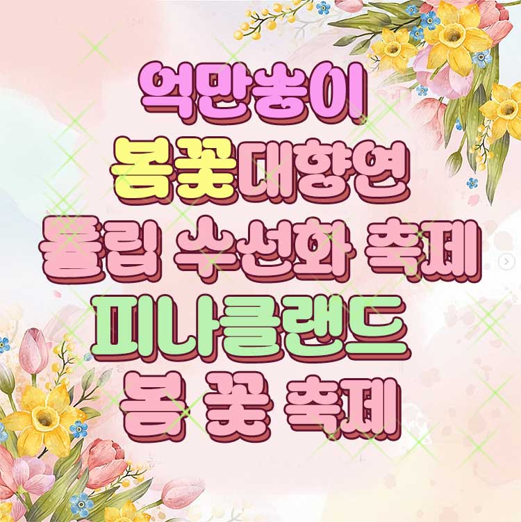 피나클랜드 튤립 축제