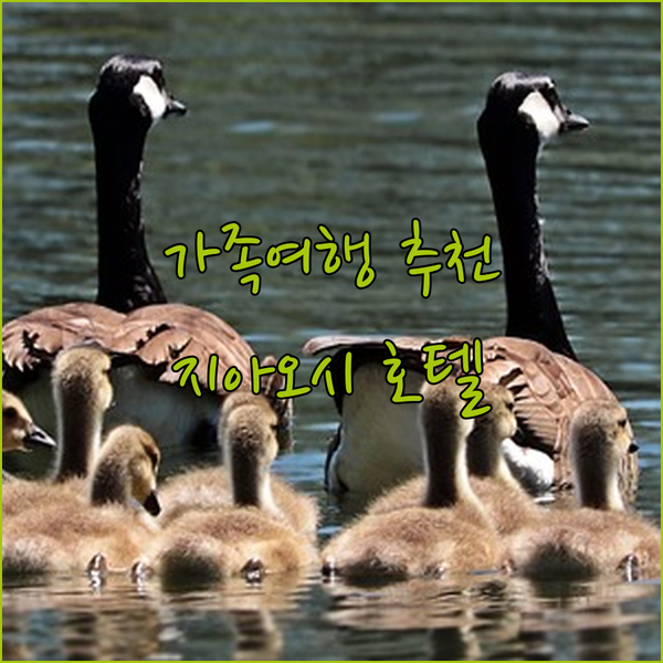 가족여행 추천 저스트 슬립 지아오시 
