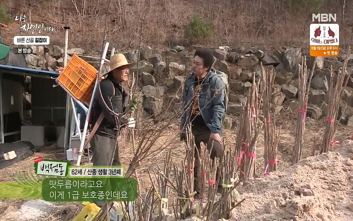나는 자연인이다.E499.220428p-NEXT.mp4_20220428_173631.442.jpg
