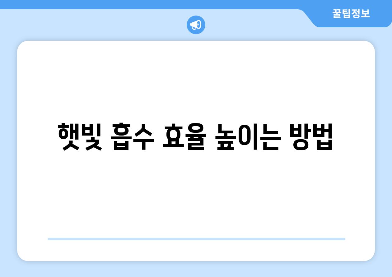 햇빛 흡수 효율 높이는 방법