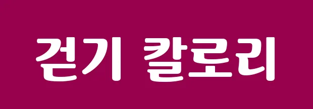 걷기 칼로리