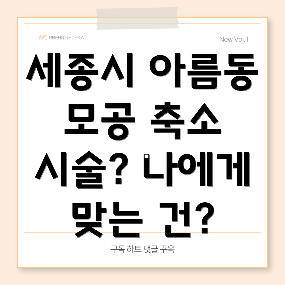 세종시 아름동 모공 축소