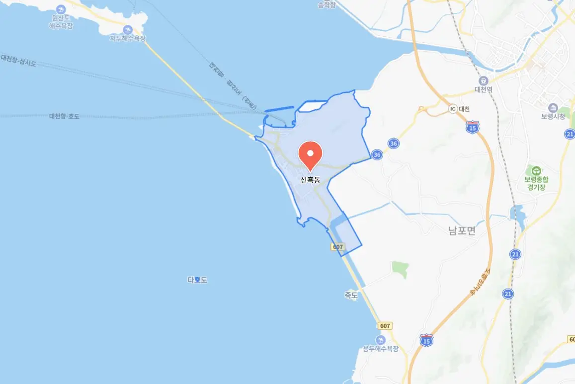 보령머드축제