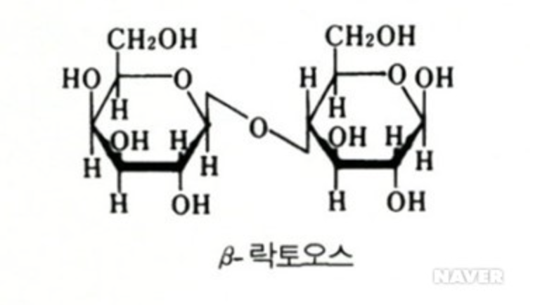 락토오스-화학식