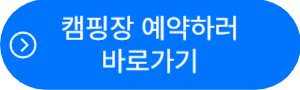 서울시-캠핑장-예약-바로가기-버튼
