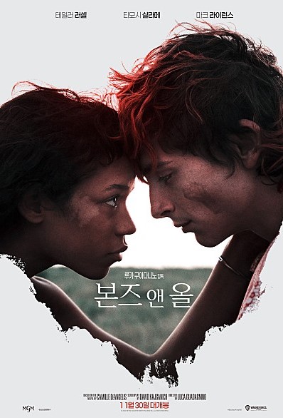  본즈 앤 올 원작 카니발리즘 영화 콜마넴 감독 다시 만나다