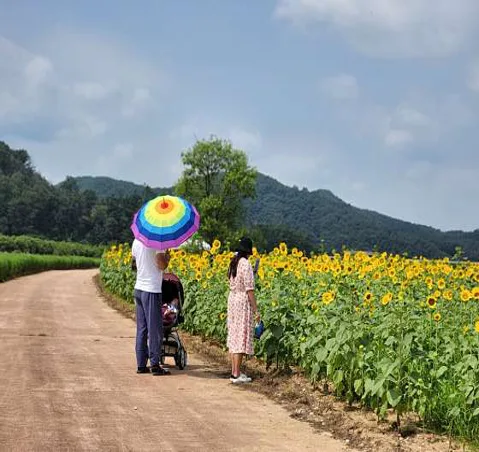 호명면월포생태공원경관단지
