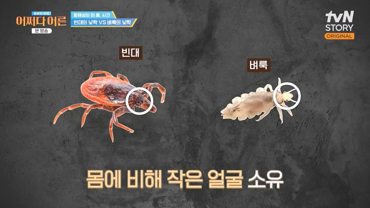 어쩌다 어른.E51.240410p-NEXT.mp4_20240410_170330.067.jpg