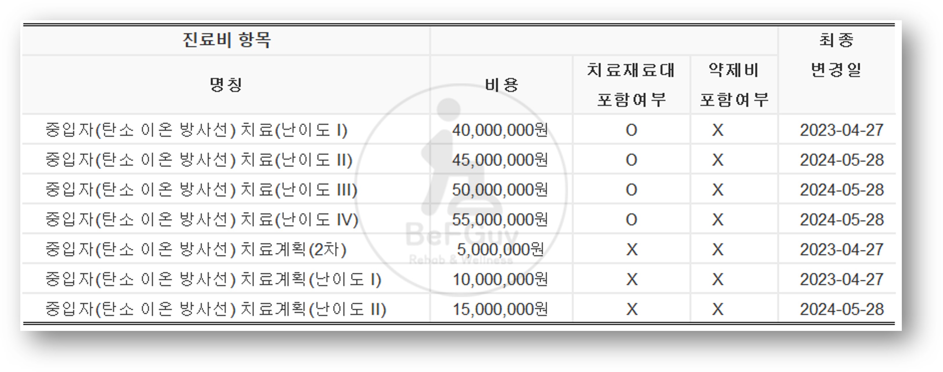 중입자 치료 비급여 치료비용