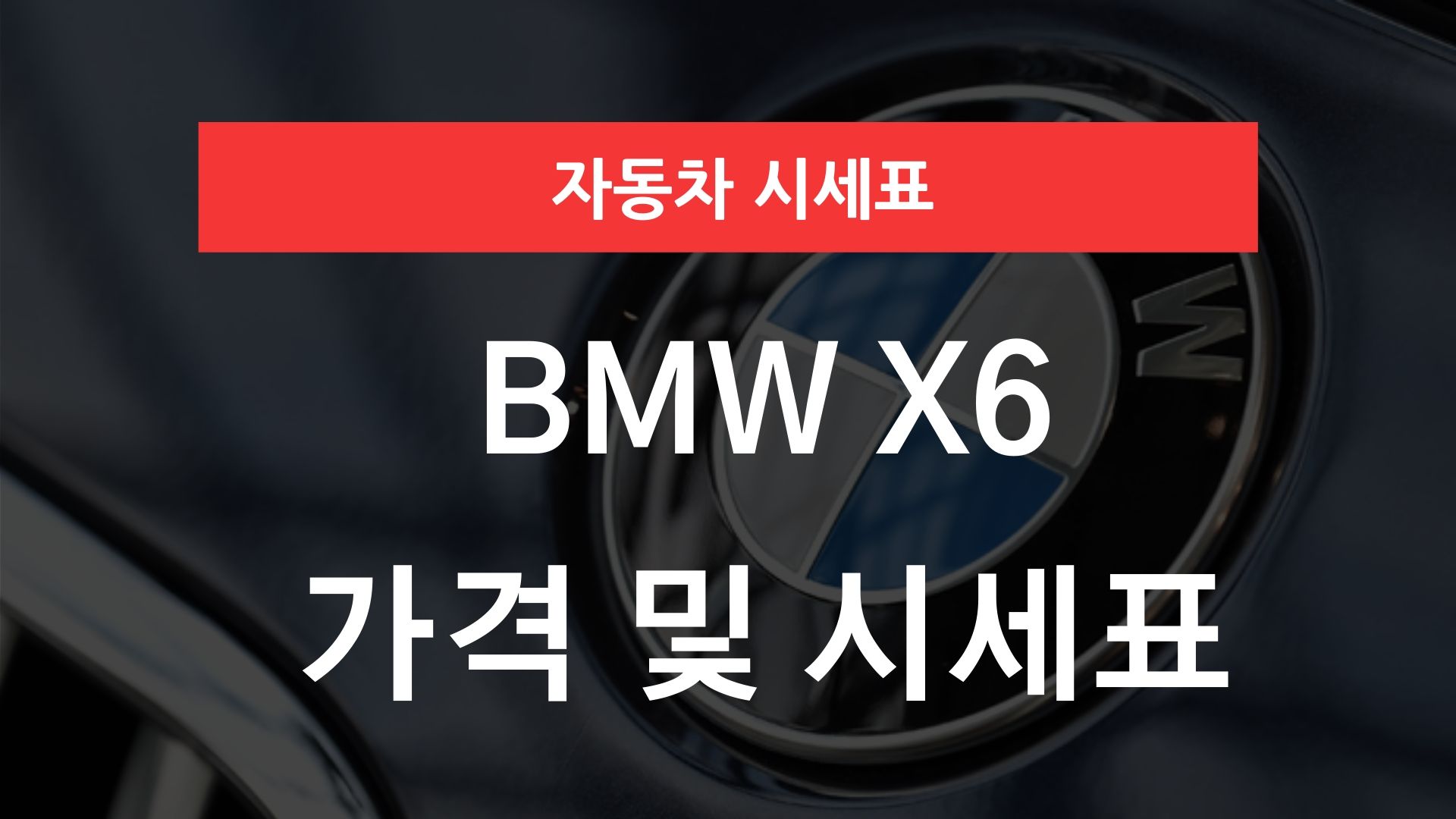 BMW X6 가격